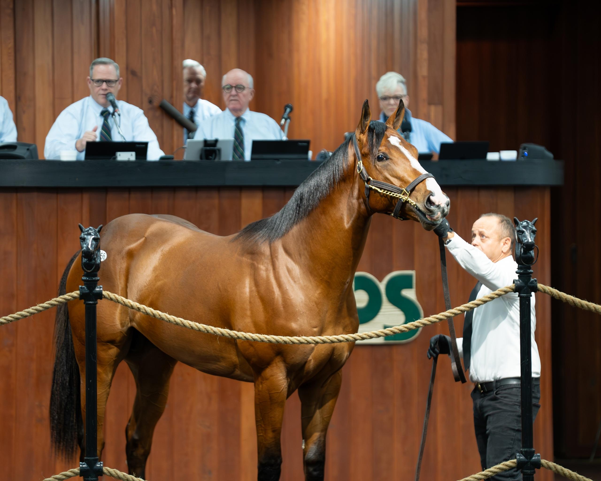 Flightline, $10.5 million, Donato Lanni, Zedan Racing Stable, Hartley/DeRenzo Thoroughbreds, horse racing, America's Best Racing, ABR