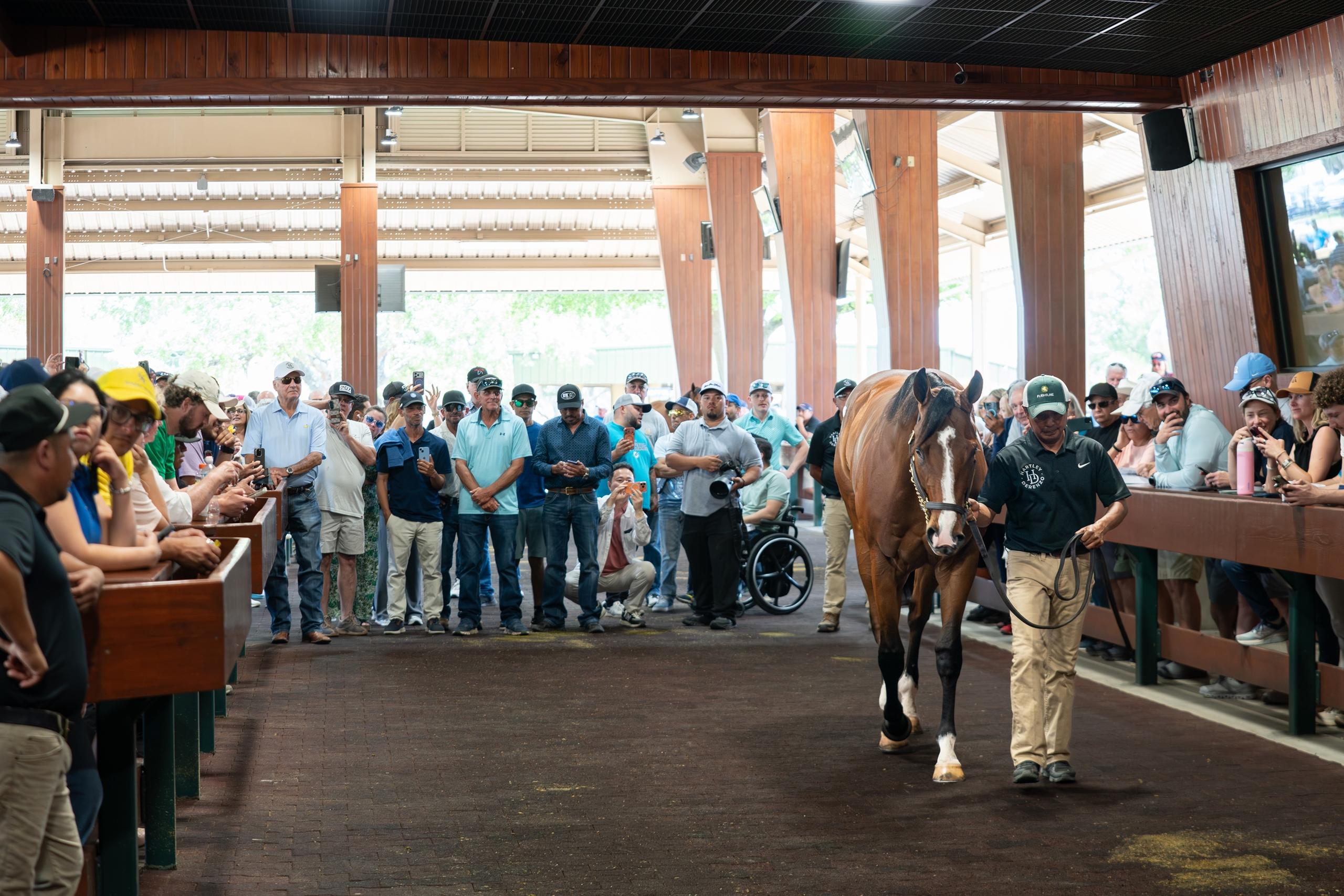 Flightline, $10.5 million, Donato Lanni, Zedan Racing Stable, Hartley/DeRenzo Thoroughbreds, horse racing, America's Best Racing, ABR