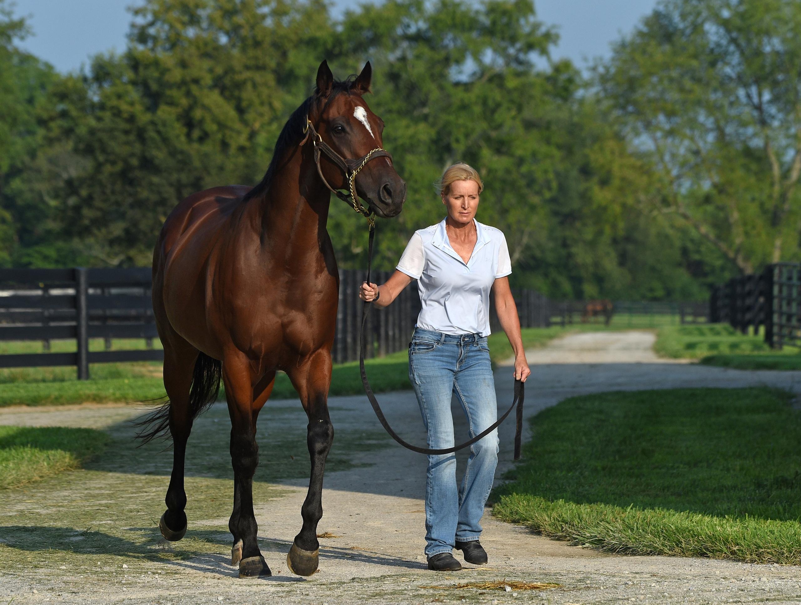 OTTBs, off-track Thoroughbreds, aftercare, Thoroughbred Aftercare Alliance, Retired Racehorse Project, horse racing, America's Best Racing, ABR