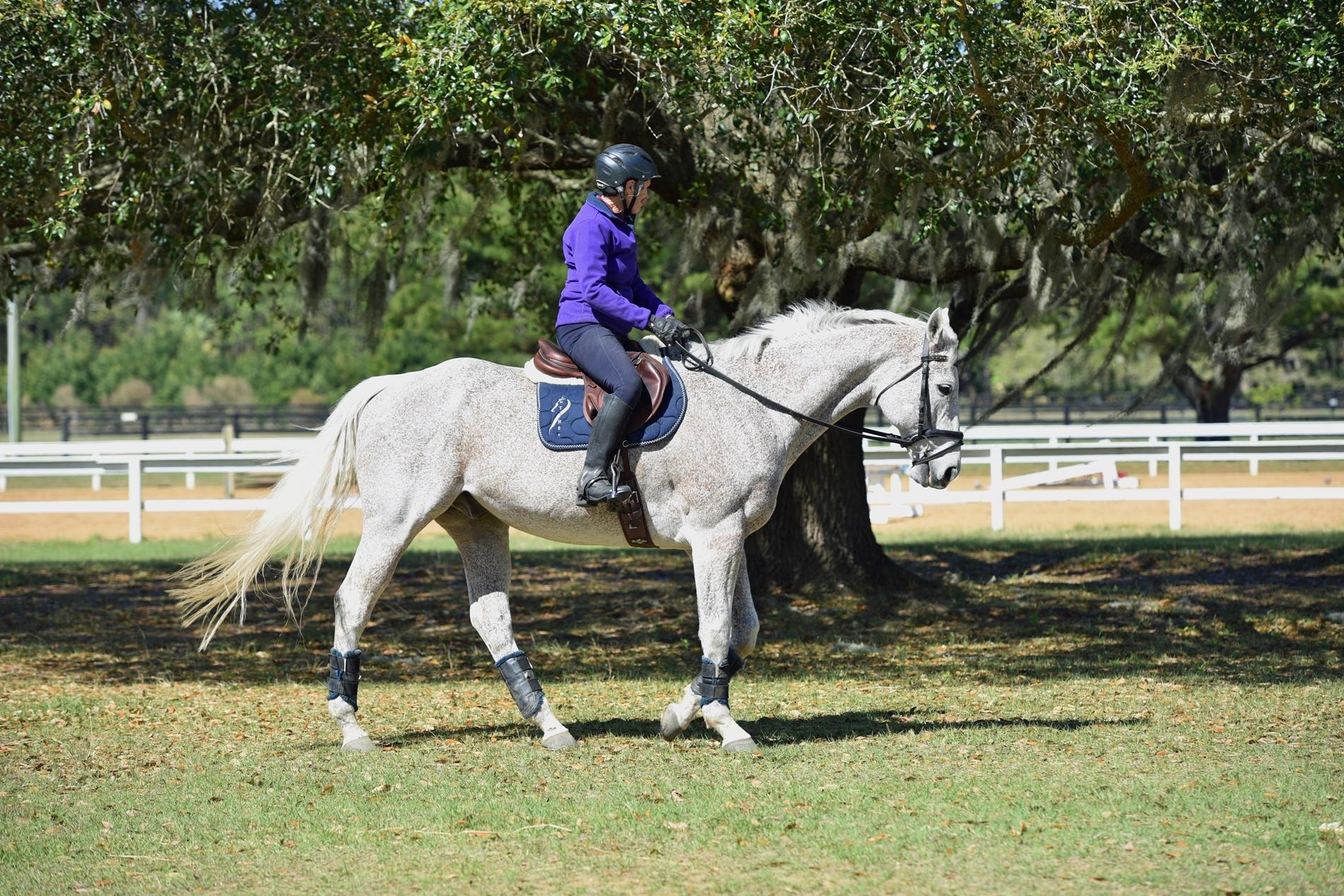 OTTBs, Sarah Welk Baynum, horse racing, America's Best Racing, ABR