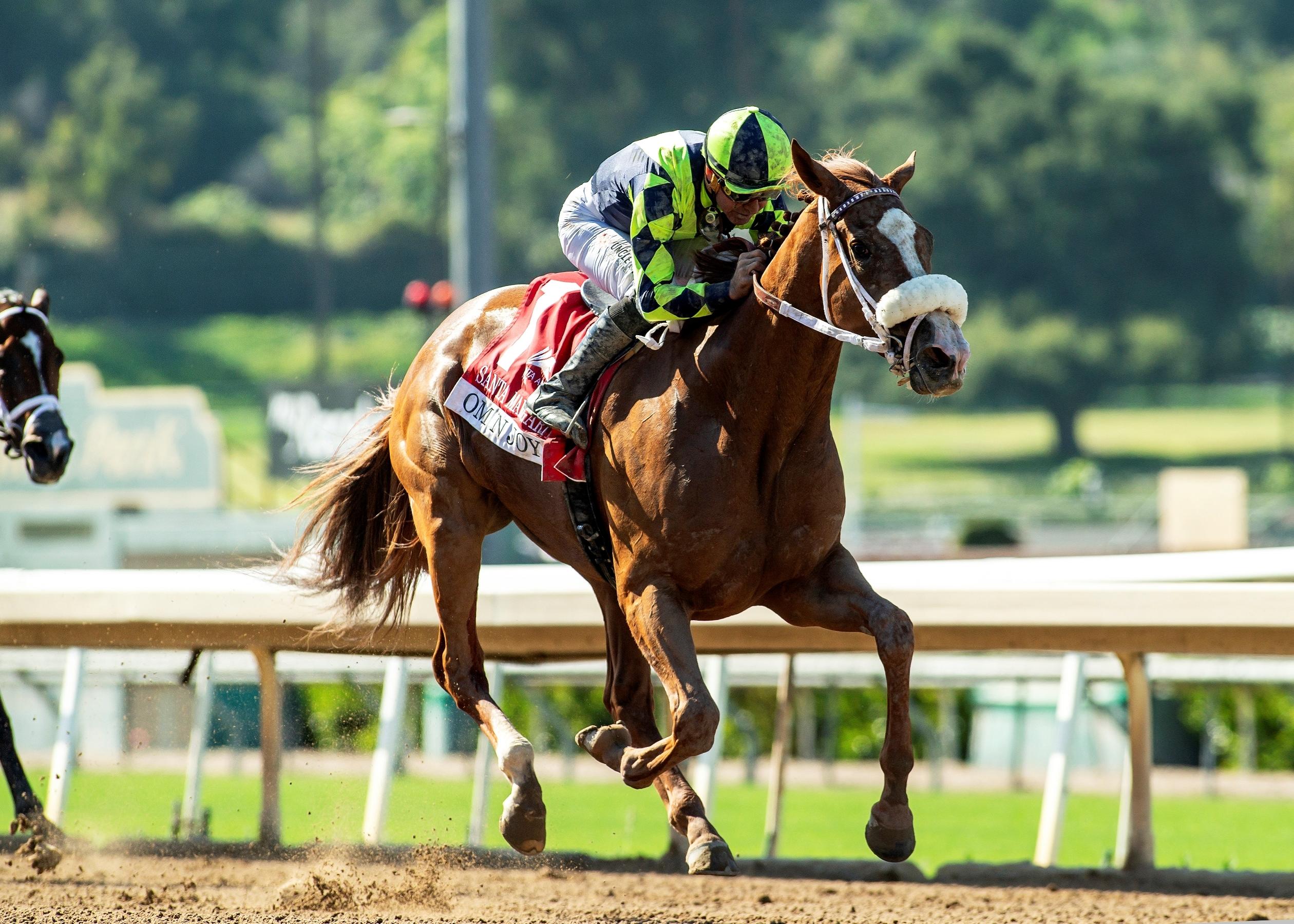 Om N Joy, Zenyatta Stakes, Santa Anita Park, horse racing, America's Best Racing, ABR Om N Joy, Zenyatta Stakes, Santa Anita Park, horse racing, America's Best Racing, ABR