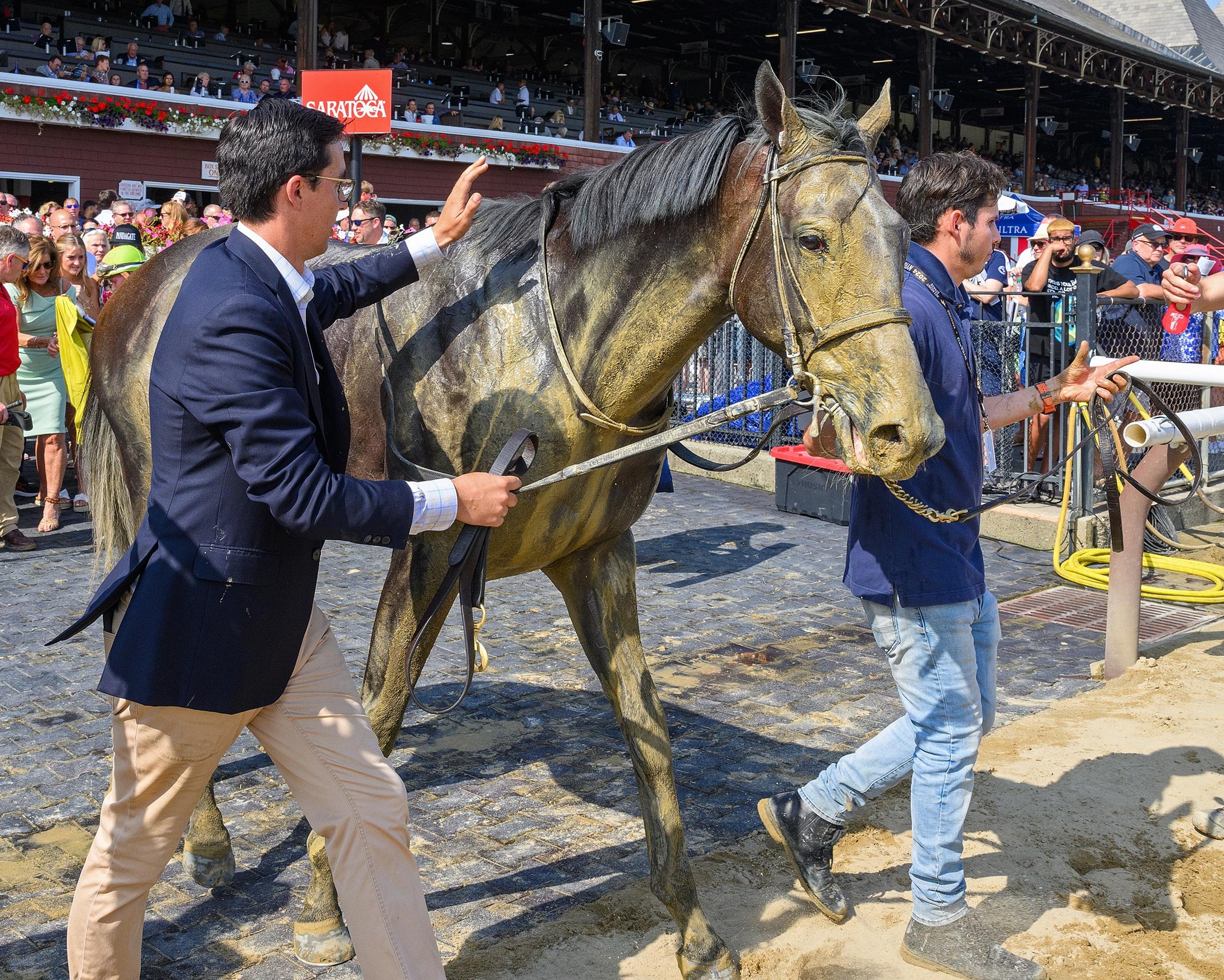Pandagate, Albany Stakes, New York Showcase Day, Belmont Park, horse racing, America's Best Racing, ABR Pandagate, Albany Stakes, New York Showcase Day, Belmont Park, horse racing, America's Best Racing, ABR