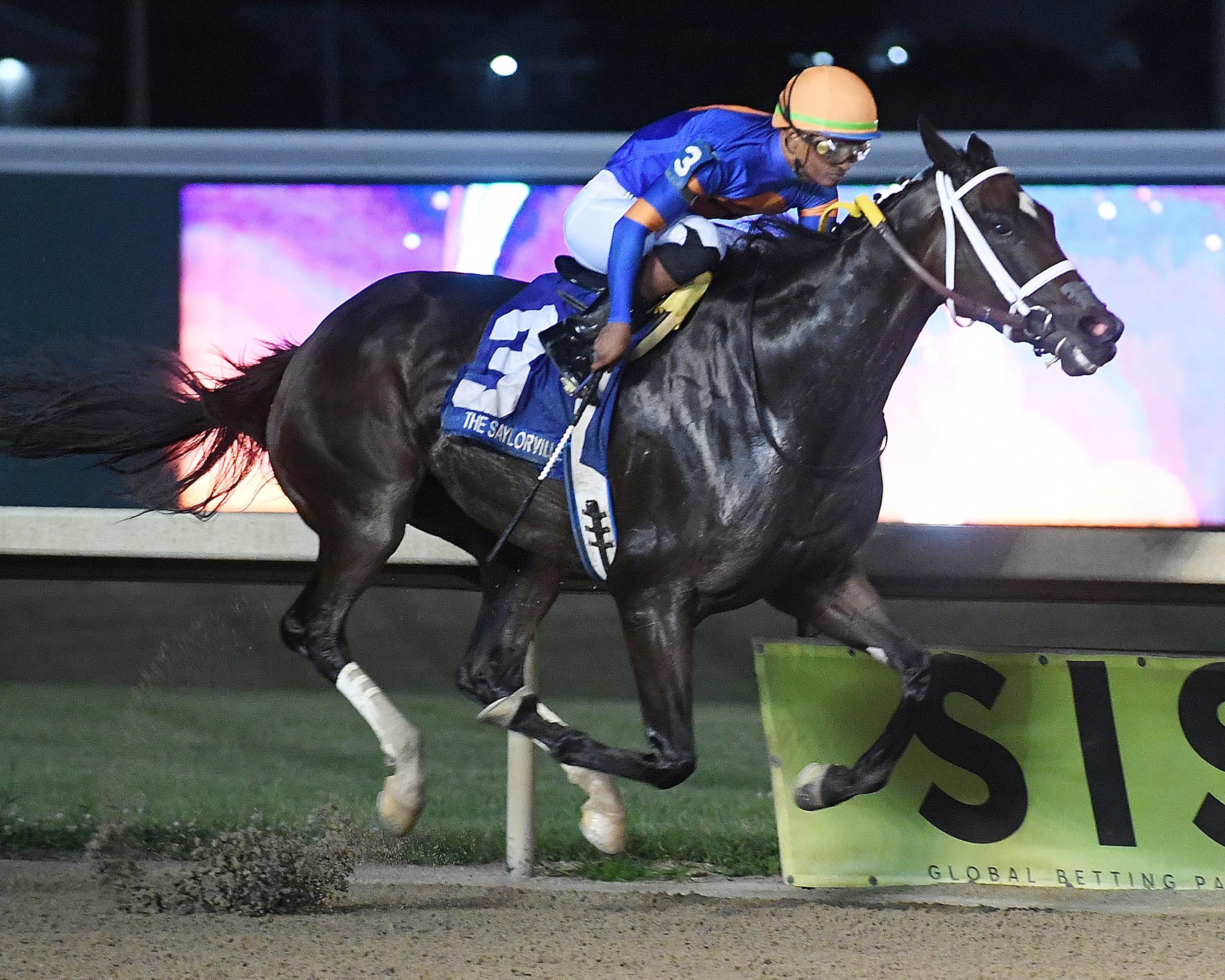 Paradise City, Presque Isle Downs Masters Stakes, Presque Isle Downs, horse racing, America's Best Racing, ABR Paradise City, Presque Isle Downs Masters Stakes, Presque Isle Downs, horse racing, America's Best Racing, ABR