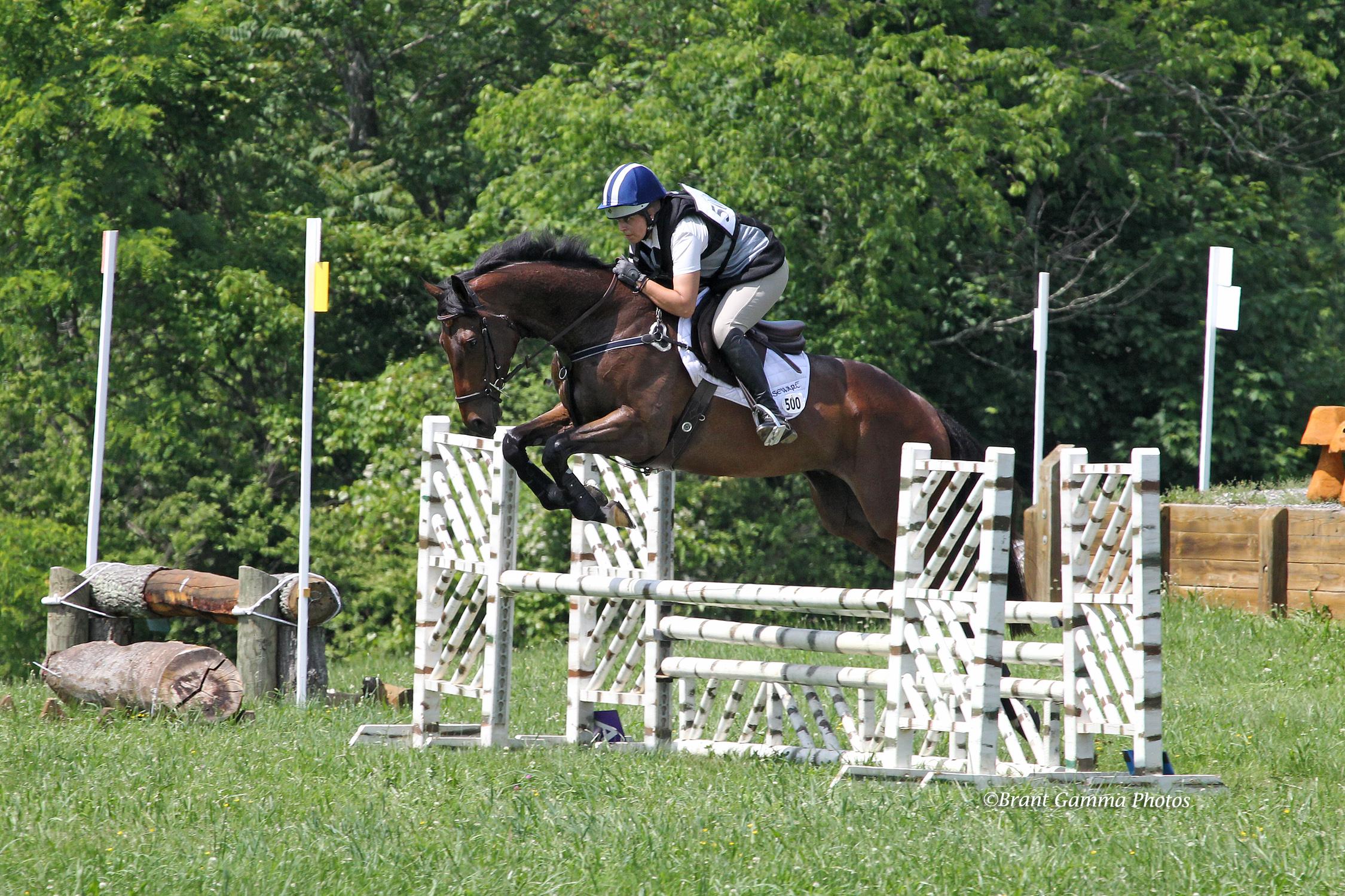 OTTB Parker's Choice