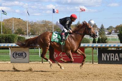 Pentathlon, Cigar Mile Stakes, Aqueduct, America's Best Racing, horse racing, ABR Pentathlon, Cigar Mile Stakes, Aqueduct, America's Best Racing, horse racing, ABR