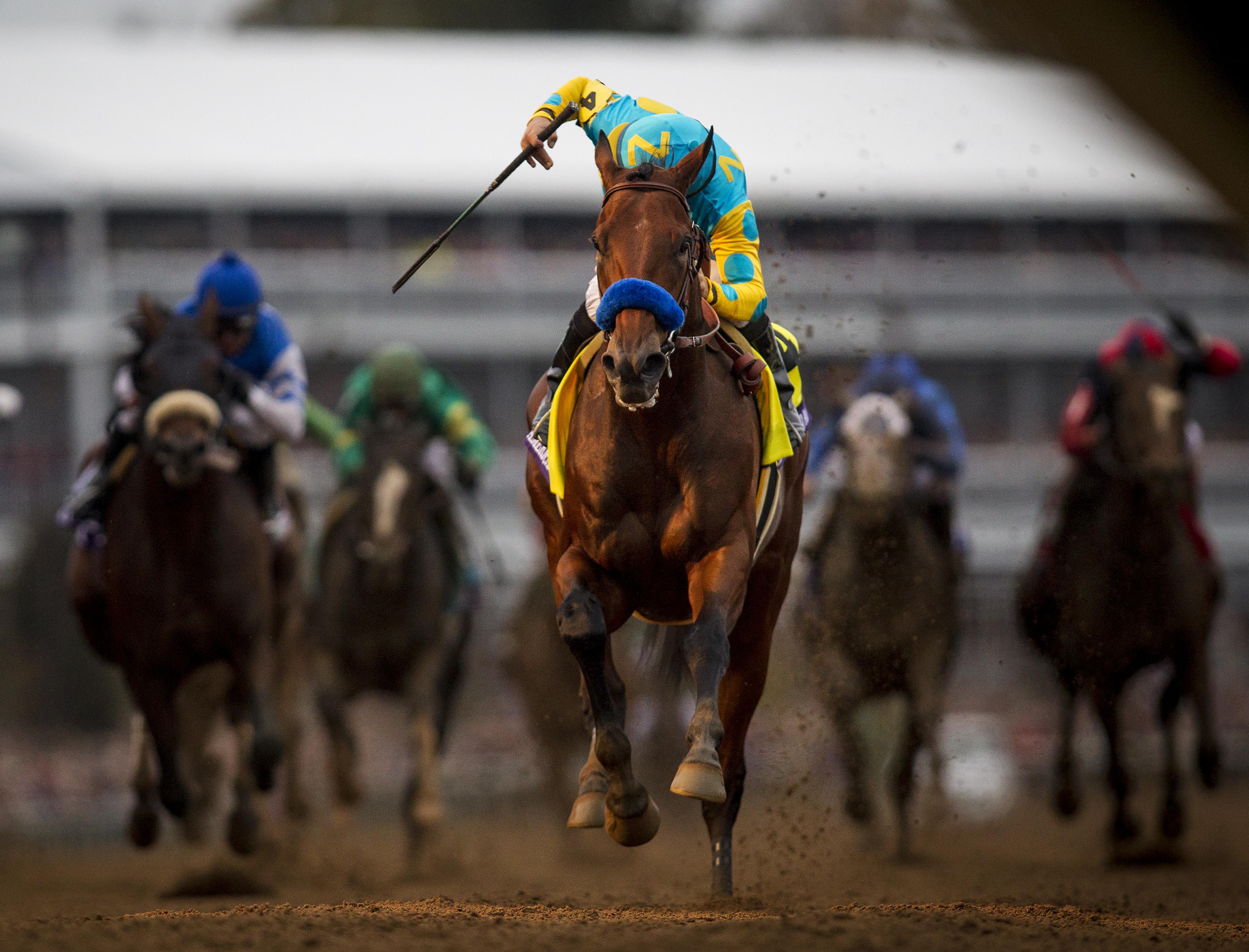 American Pharoah, Breeders' Cup Classic, Triple Crown, Keeneland, America's Best Racing, horse racing, ABR