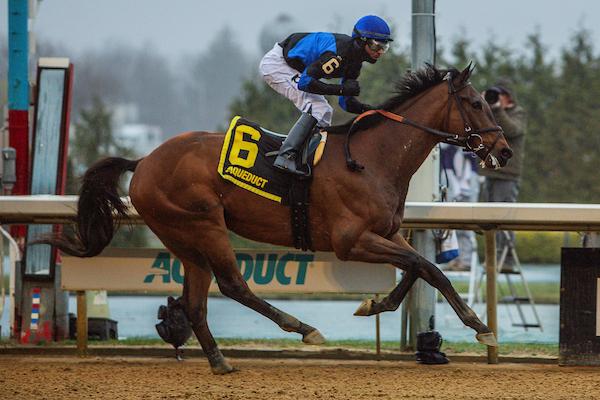 Phileas Fogg, Cigar Mile Stakes, Aqueduct, America's Best Racing, horse racing, ABR Phileas Fogg, Cigar Mile Stakes, Aqueduct, America's Best Racing, horse racing, ABR