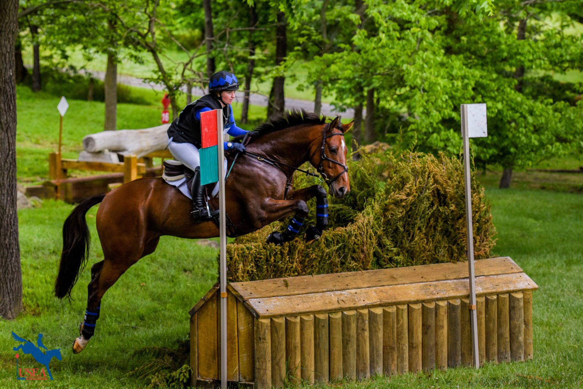 Point Nemo, Ryan Keefe, Real Rider Cup, Mark Casse, D.J. Stables, Aftercare, America's Best Racing, ABR, horse racing, Triple Crown Point Nemo, Ryan Keefe, Real Rider Cup, Mark Casse, D.J. Stables, Aftercare, America's Best Racing, ABR, horse racing, Triple Crown