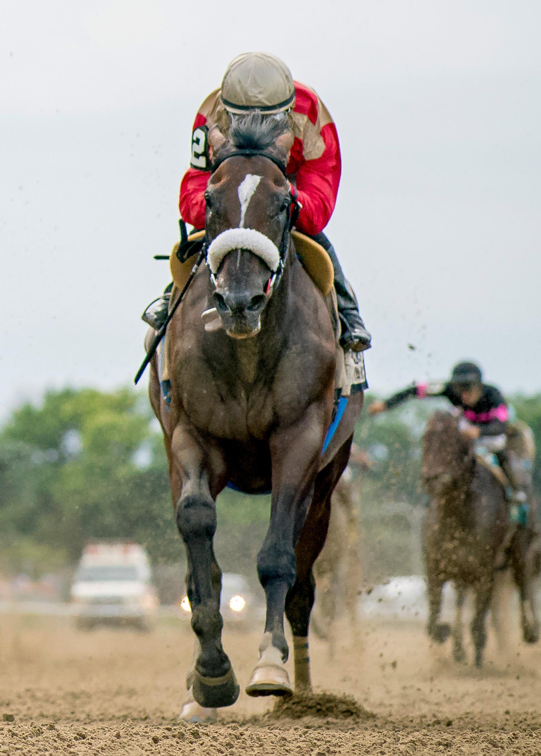 Preservationist