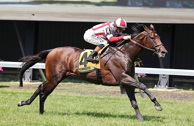 Program Trading, Monmouth Stakes, Haskell Stakes, Monmouth Park, horse racing, America's Best Racing, ABR Program Trading, Monmouth Stakes, Haskell Stakes, Monmouth Park, horse racing, America's Best Racing, ABR