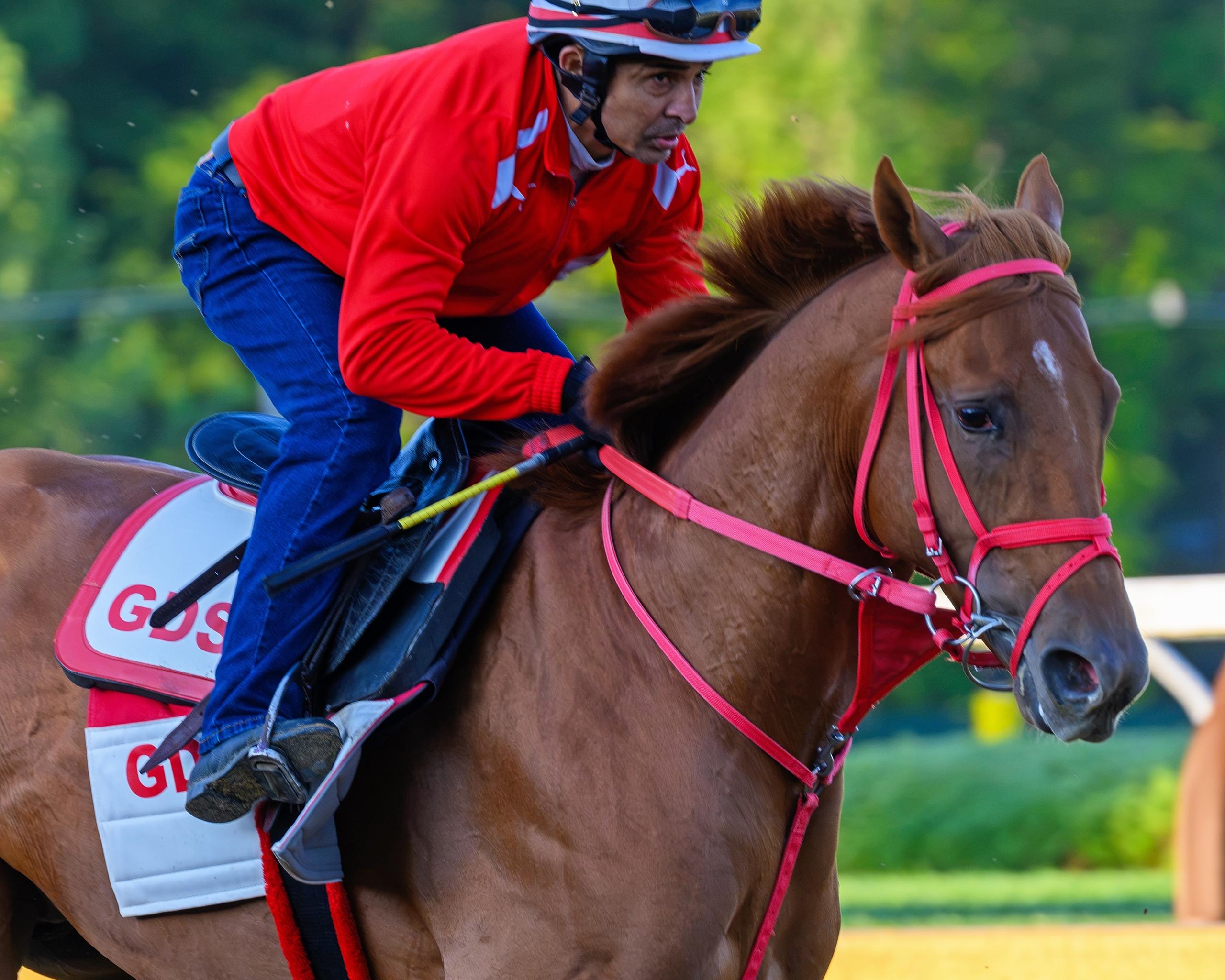 The Puma, Pennsylvania Derby, Parx Racing, horse racing, America's Best Racing, ABR The Puma, Pennsylvania Derby, Parx Racing, horse racing, America's Best Racing, ABR