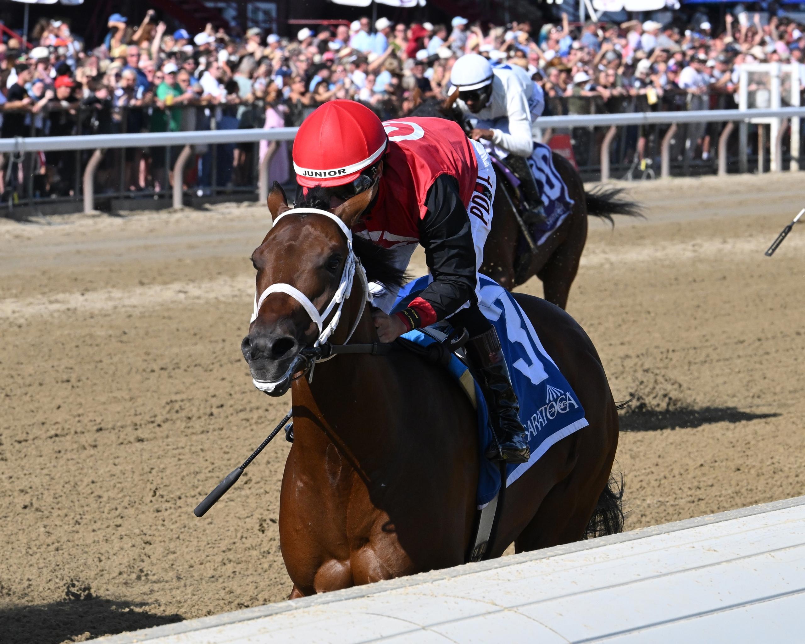 Q B Rocket, Rookie Rankings, Kentucky Derby, Triple Crown, horse racing, America's Best Racing, ABR Q B Rocket, Rookie Rankings, Kentucky Derby, Triple Crown, horse racing, America's Best Racing, ABR