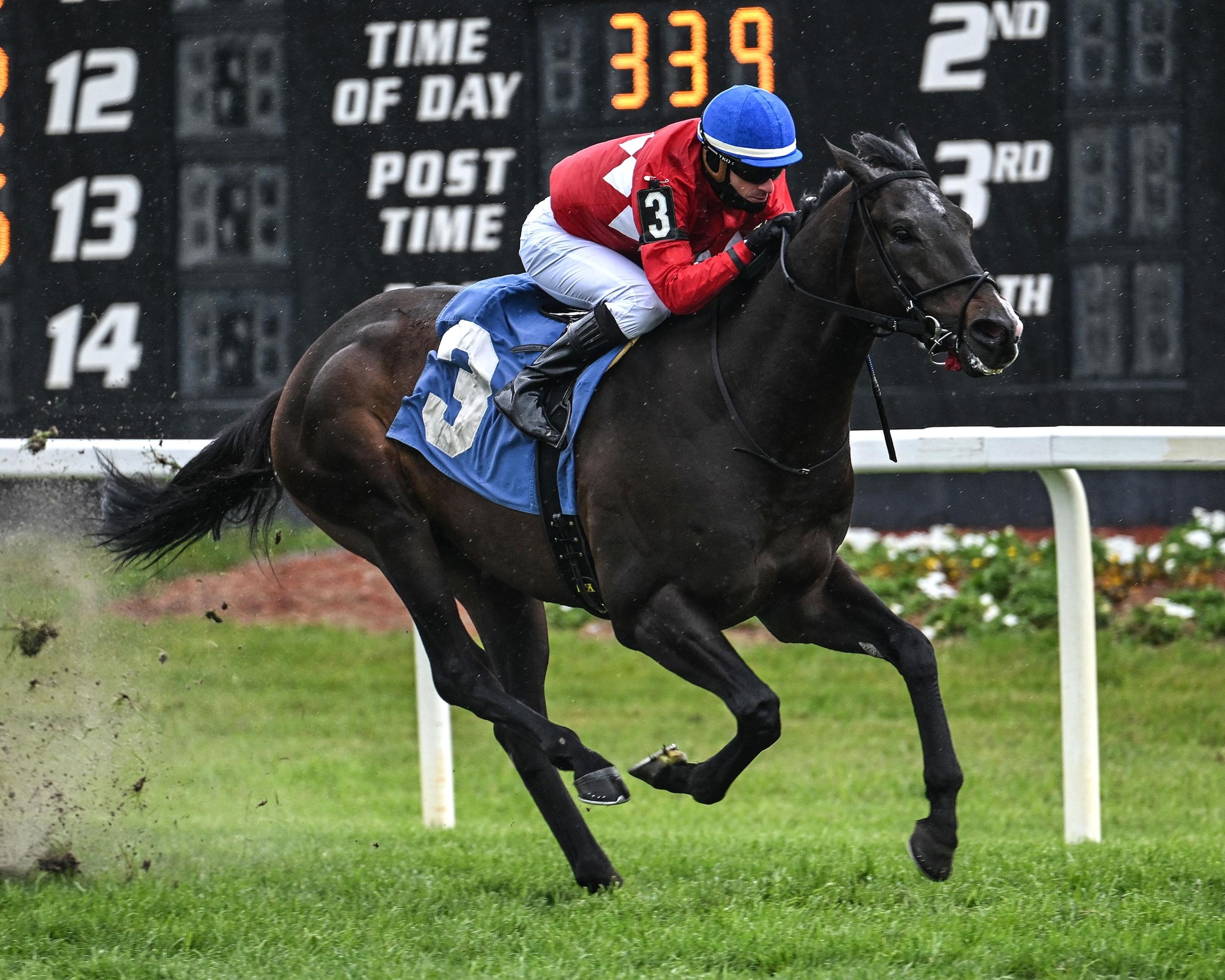 Quatrocento, Tampa Bay Stakes, Tampa Bay Downs, America's Best Racing, horse racing, ABR