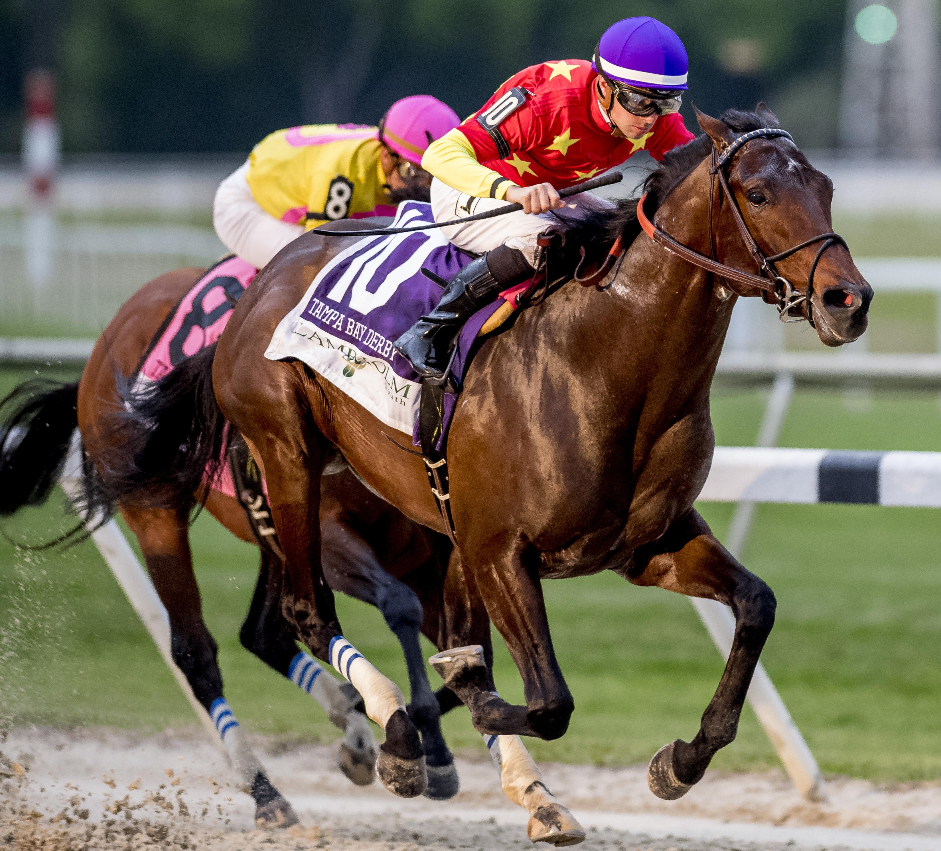 Quip wins the Tampa Bay Derby.