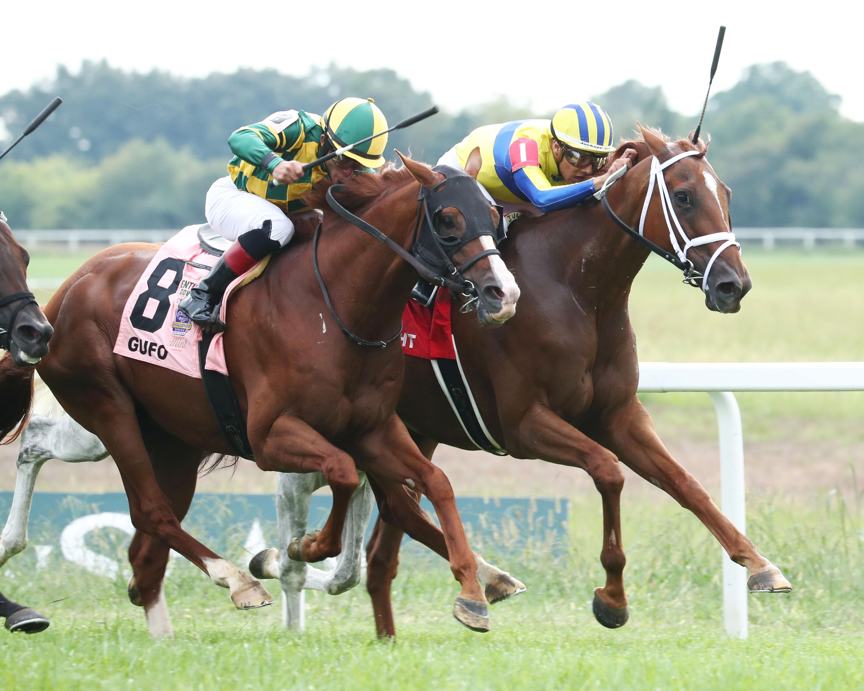 Comeback ‘Kid’ Red Knight Regained Vigor, Ready for Breeders’ Cup Turf ...