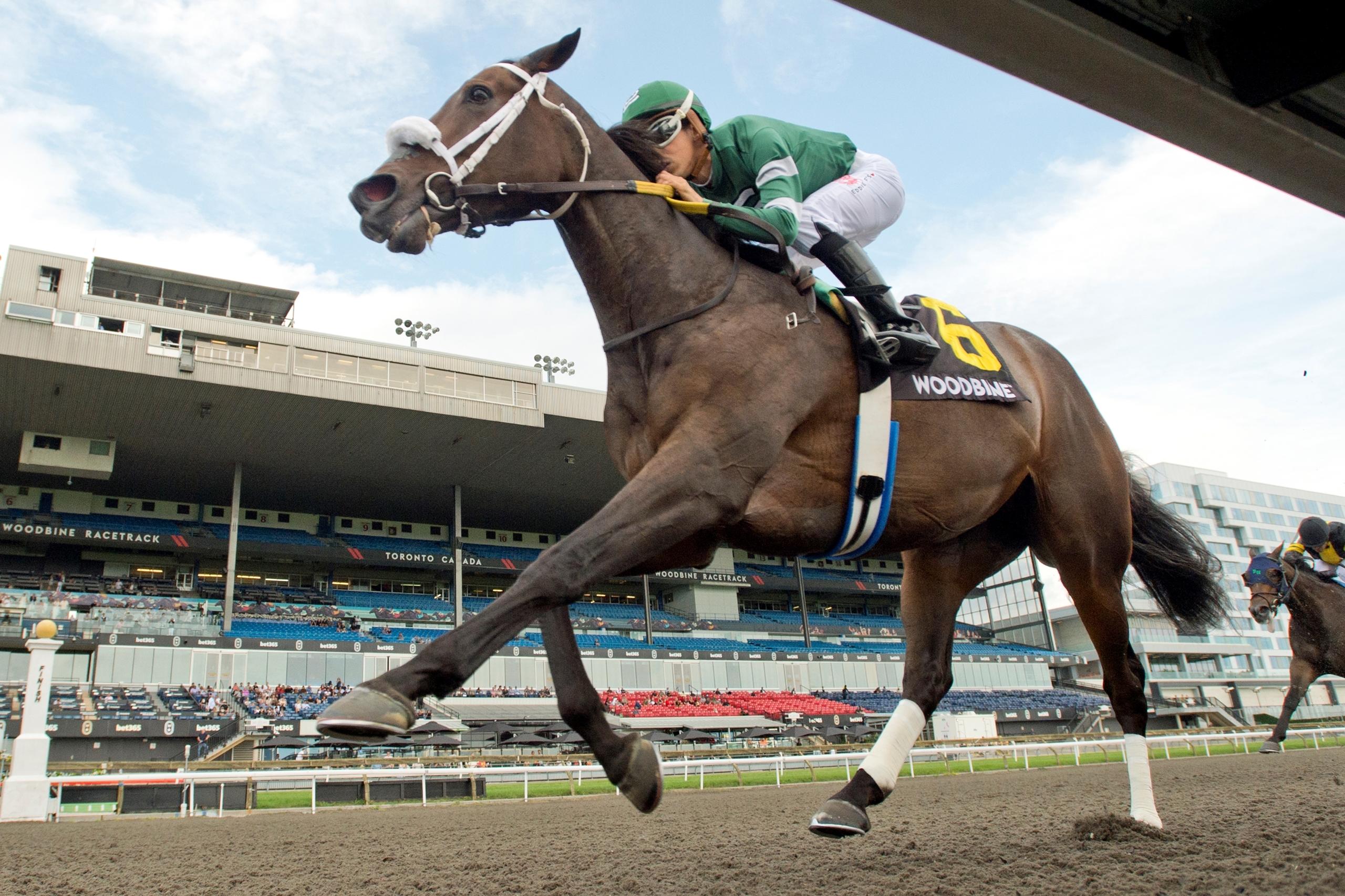 Reagan's Flame, Presque Isle Downs Masters Stakes, Presque Isle Downs, horse racing, America's Best Racing, ABR Reagan's Flame, Presque Isle Downs Masters Stakes, Presque Isle Downs, horse racing, America's Best Racing, ABR