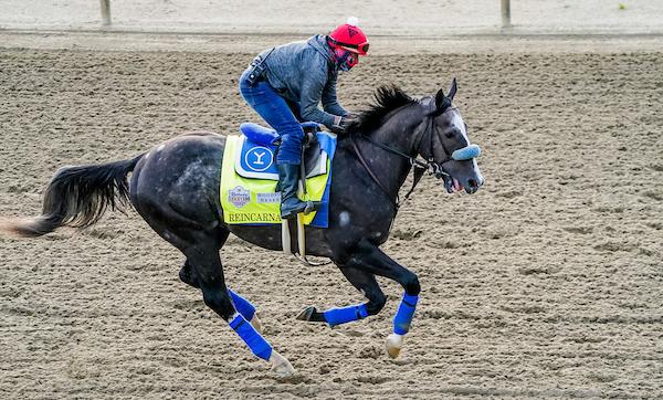 Reincarnate, Eclipse Sportswire, Pacific Classic, Del Mar, Breeders' Cup Classic