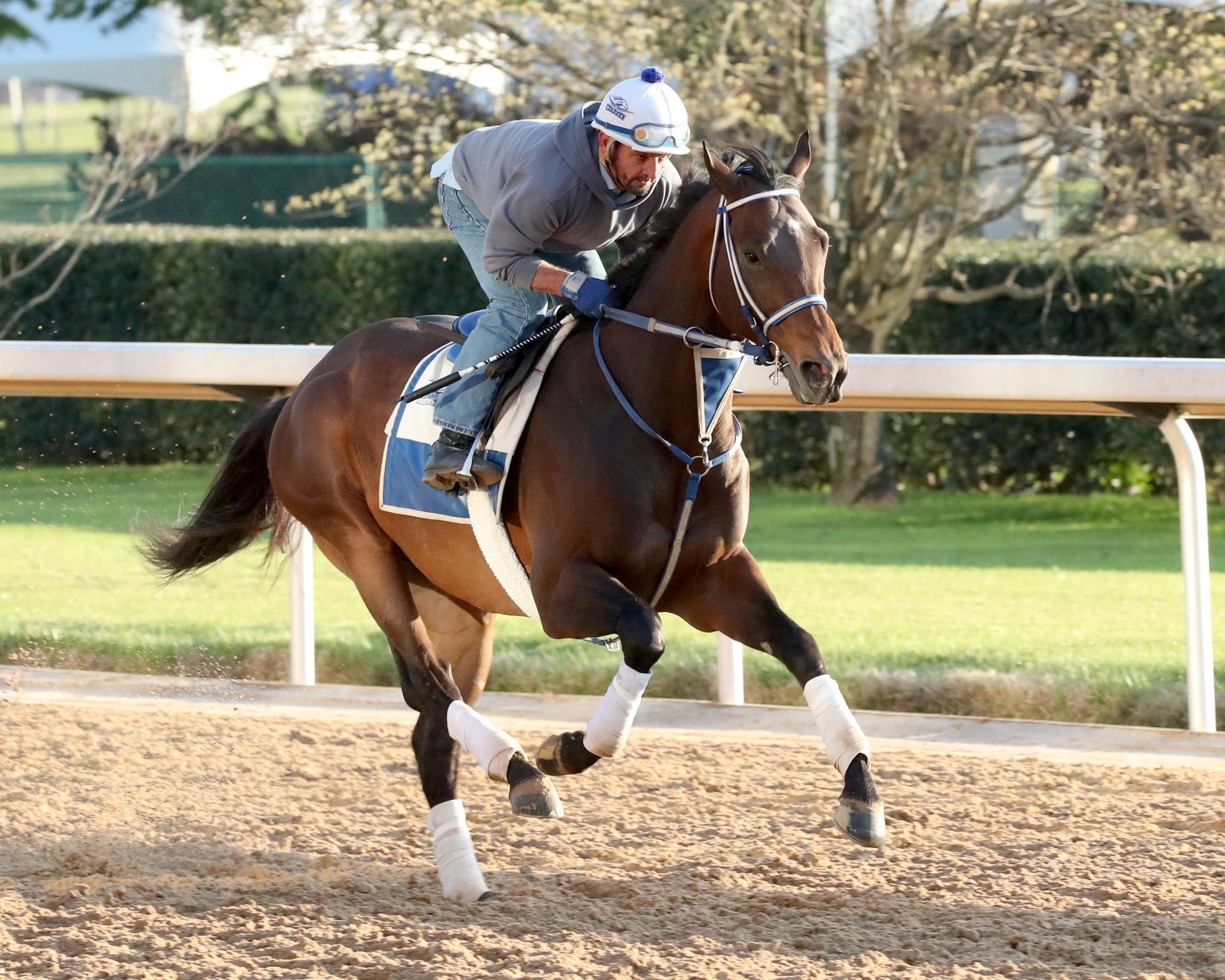 Render Judgment, Jockey Club Gold Cup, Belmont Park, horse racing, America's Best Racing, ABR Render Judgment, Jockey Club Gold Cup, Belmont Park, horse racing, America's Best Racing, ABR