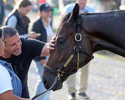 Mike Repole, Fierceness, Churchill Downs, BloodHorse