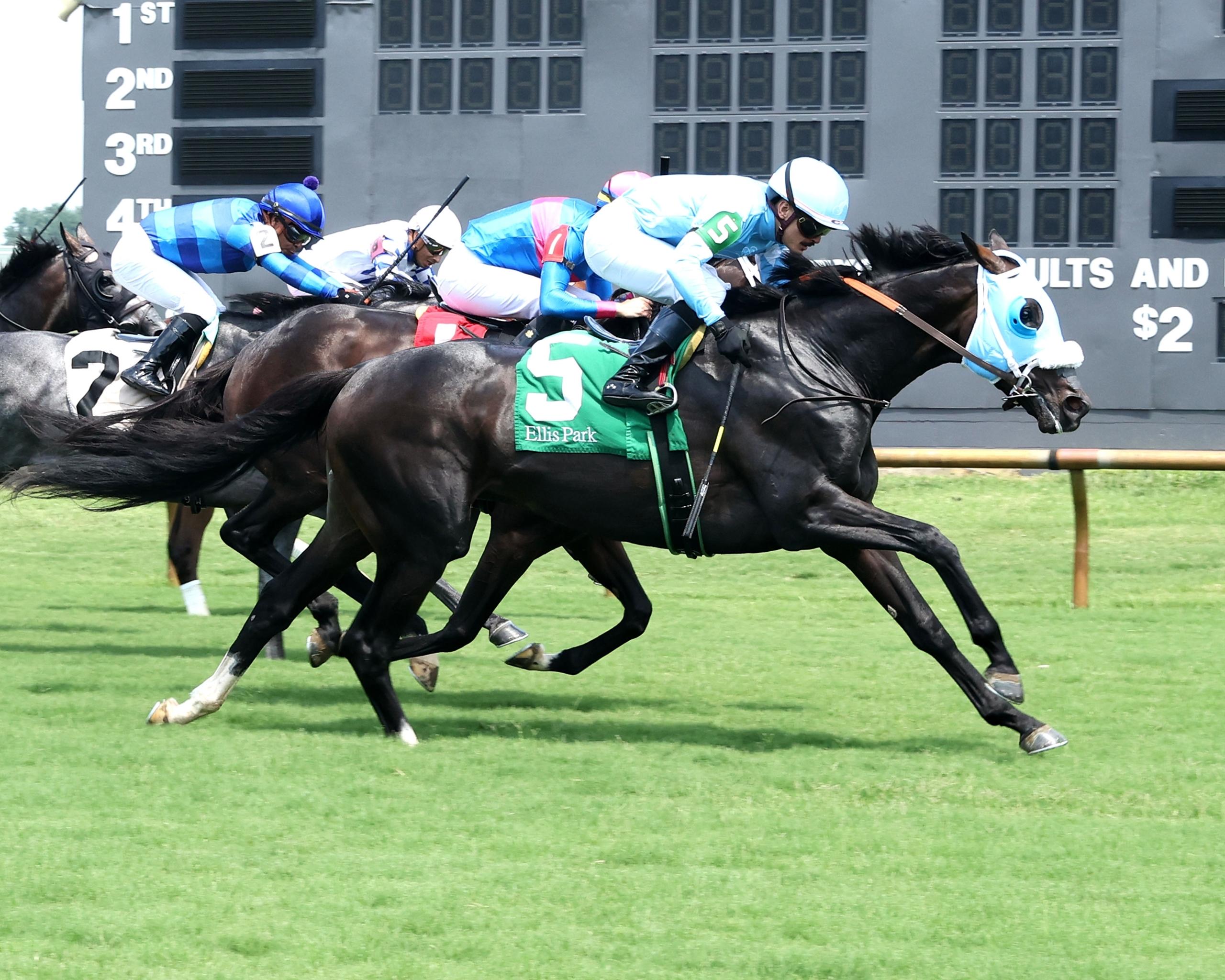Kentucky Downs, Nashville Derby, horse racing, America's Best Racing, ABR