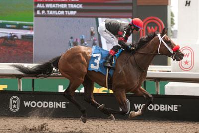 Runaway Again, King's Plate, Woodbine, America's Best Racing, horse racing, ABR