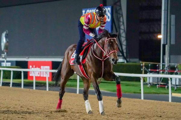 Forever Young, Ryusei Sakai, Yoshito Yahagi, Breeders' Cup Classic, Del Mar, America's Best Racing, horse racing, ABR 