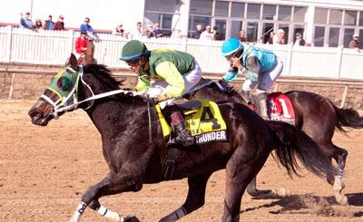 Sacred Thunder, Laurel Park, Maryland Million Classic, Jim McKay, America's Best Racing, horse racing, ABR