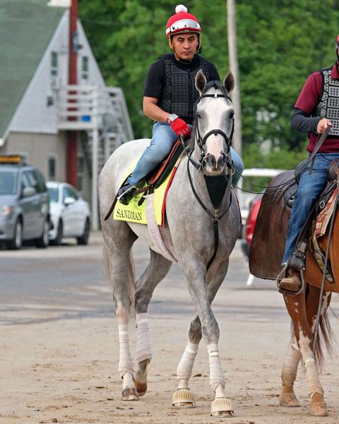 Sandman, Kentucky Derby, Churchill Downs, Triple Crown, America's Best Racing, horse racing, ABR