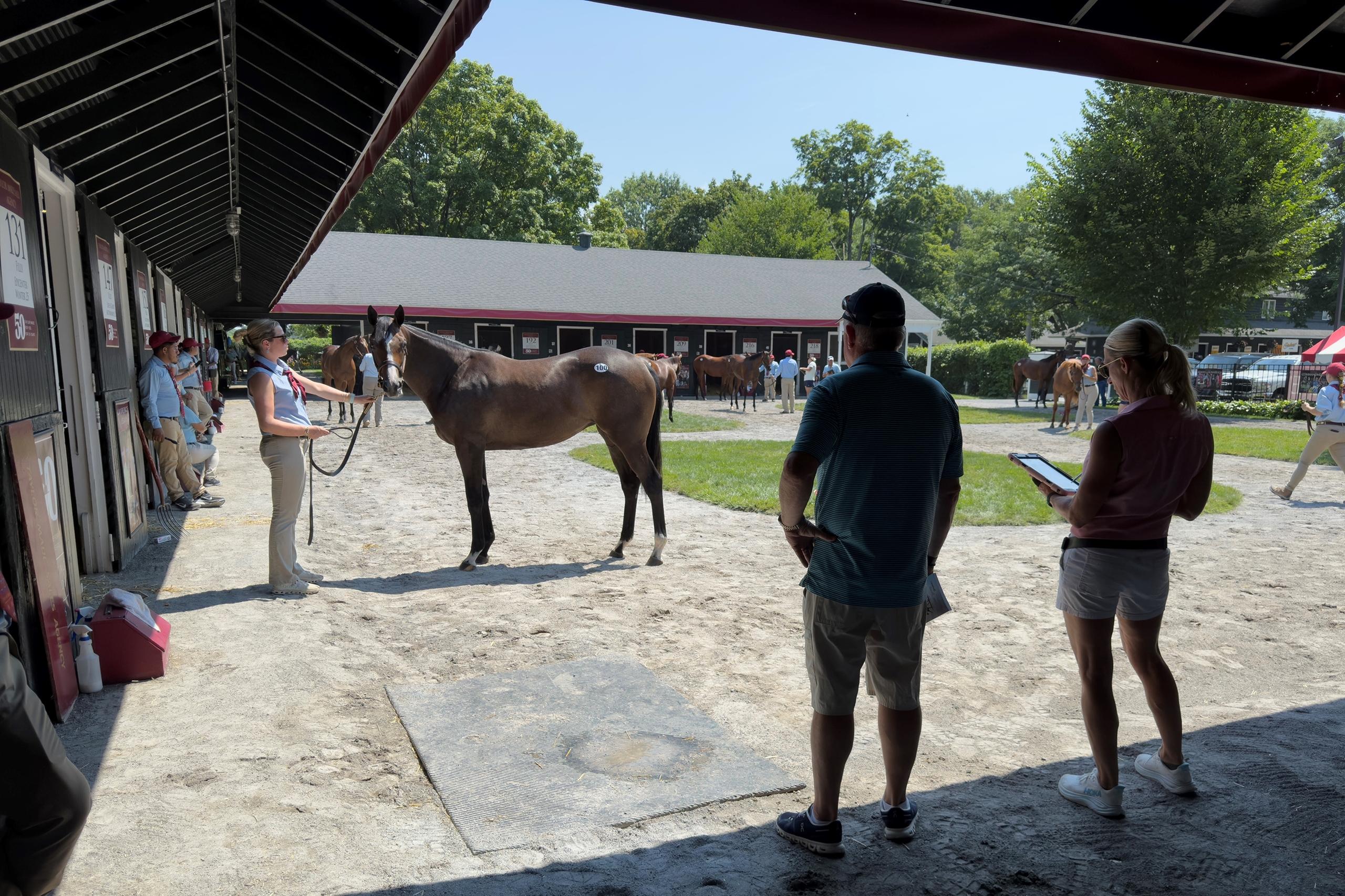 Fasig-Tipton Saratoga Sale, Barnes, America's Best Racing, ABR, horse racing, Triple Crown, Breeders' Cup Fasig-Tipton Saratoga Sale, Barnes, America's Best Racing, ABR, horse racing, Triple Crown, Breeders' Cup