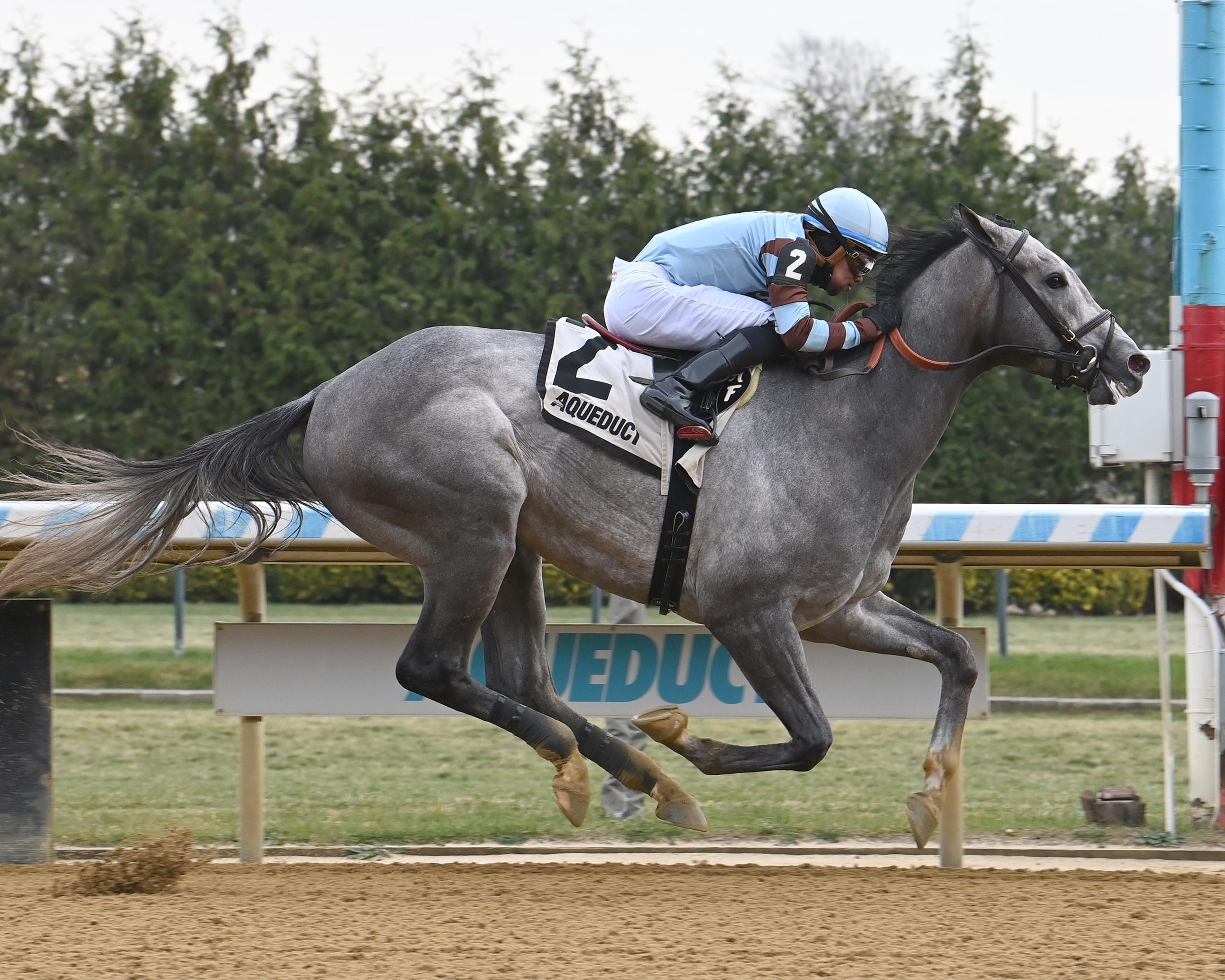 Schoolyardsuperman, Aqueduct, Withers, America's Best Racing, ABR, horse racing  