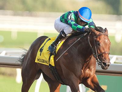 Scorching, King's Plate, Woodbine, America's Best Racing, horse racing, ABR