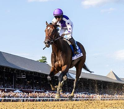 Scottish Lassie, Personal Ensign Stakes, Saratoga Race Course, Breeders' Cup Classic, horse racing, America's Best Racing, ABR