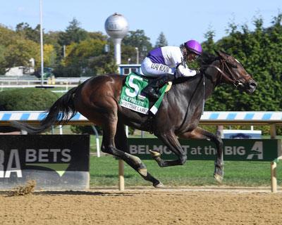 Frizette Stakes, Aqueduct, Scottish Lassie, Breeders' Cup Juvenile Fillies, Santa Anita Park, Coglianese photos