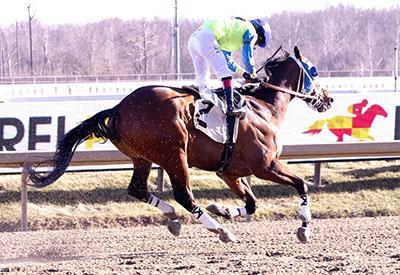 Secret Zipper, Laurel Park, Maryland Million Classic, Jim McKay, America's Best Racing, horse racing, ABR