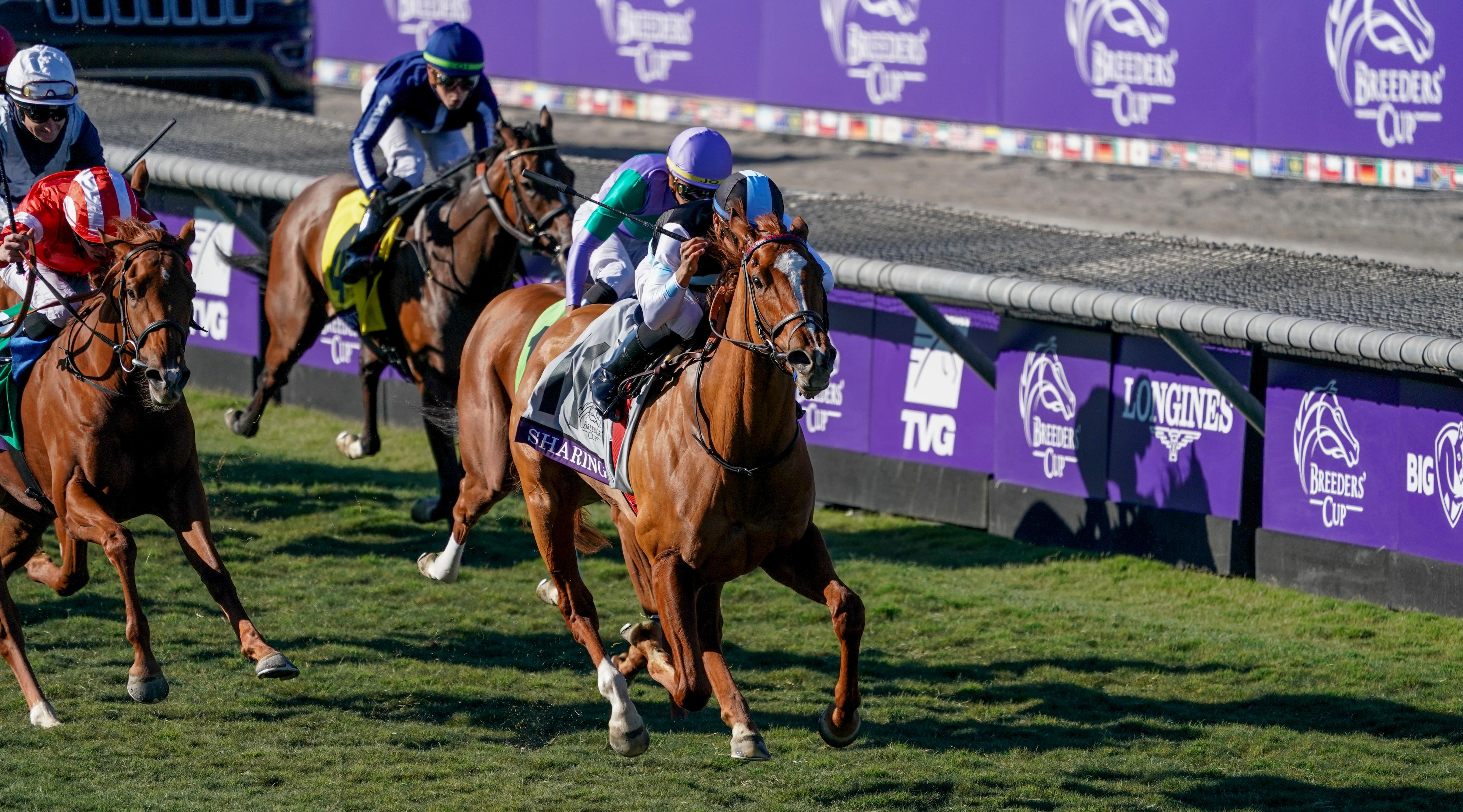 Sharing wins the Juvenile Fillies Turf.