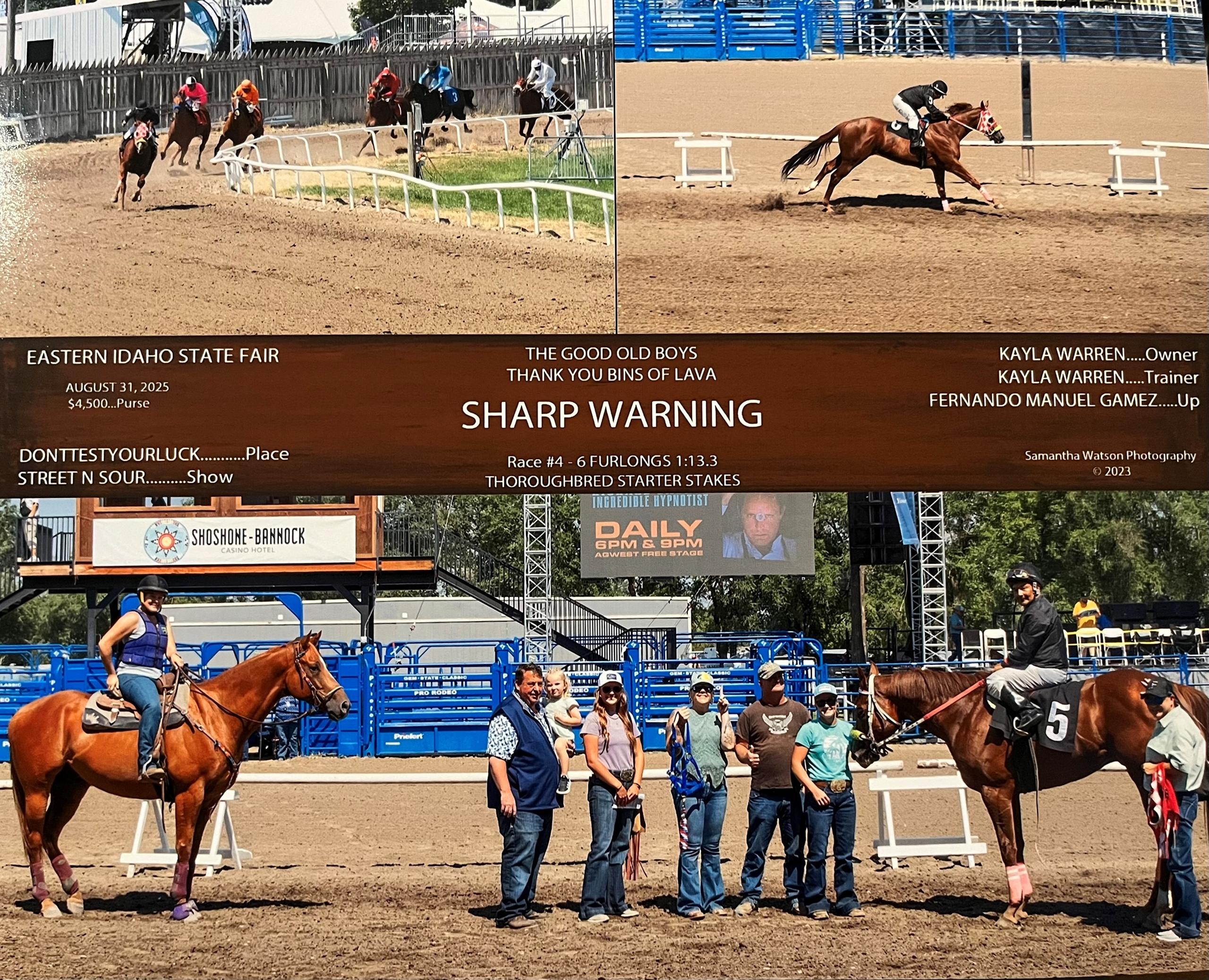 Sharp Warning, Turf Paradise, Arapahoe Park, Kayla Warren, America's Best Racing, horse racing, ABR Sharp Warning, Turf Paradise, Arapahoe Park, Kayla Warren, America's Best Racing, horse racing, ABR