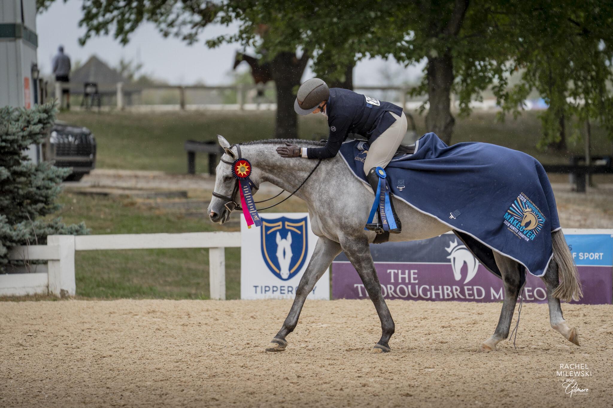 Show Hunter, My Sobriety, Lauren Silverstein, Retired Racehorse Project, Thoroughbred Makeover, Aftercare, horse racing, America's Best Racing, ABR 