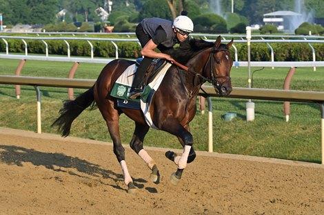 Sierra Leone, Saratoga, NYRA, Coglianese Photos, Jim Dandy Stakes