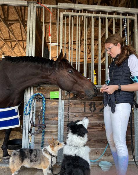 Jordan Sigmon, Maverick, Retired Racehorse Project, Thoroughbred Makeover, Kentucky Horse Park, America's Best Racing, horse racing, ABR 