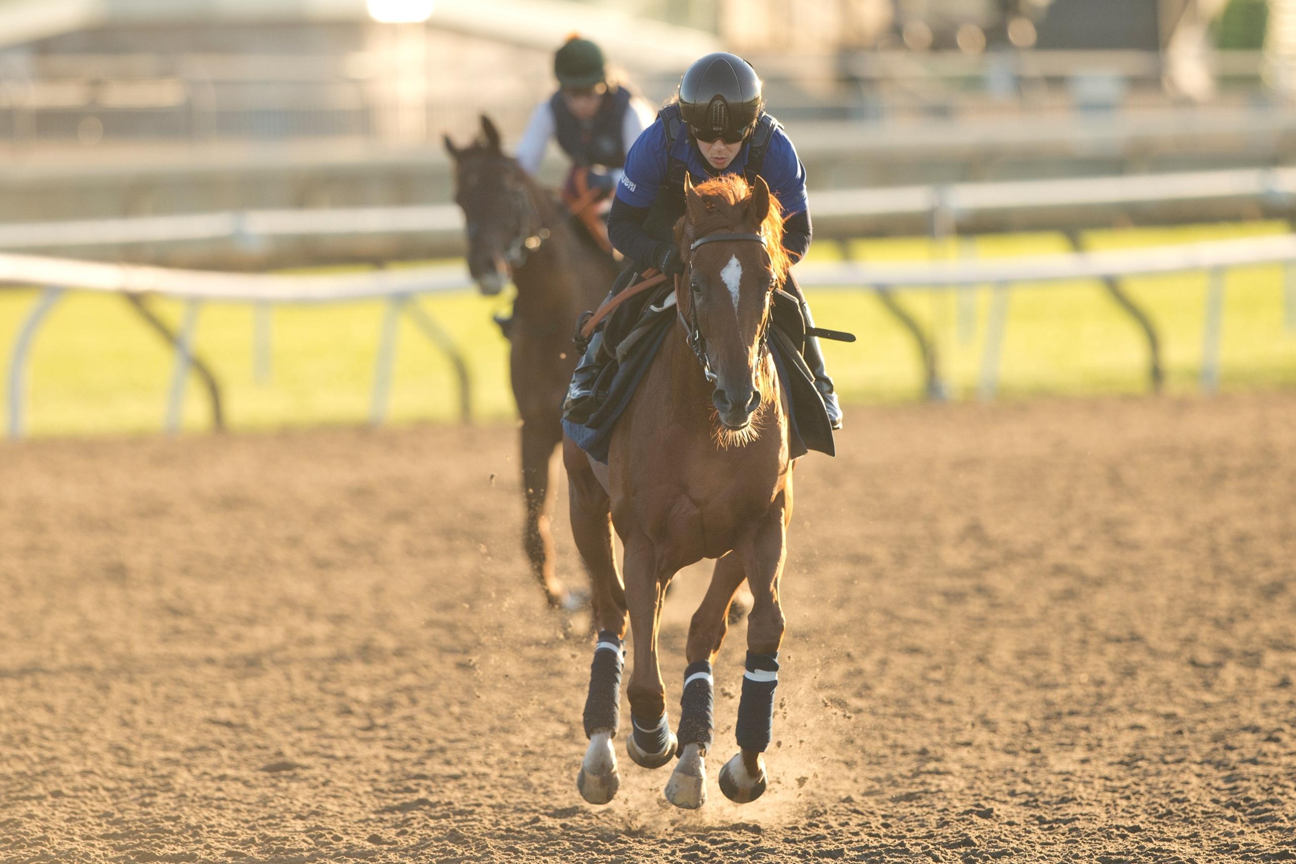 Silius, Turf Champions Day, Woodbine Mile, Woodbine, horse racing, America's Best Racing, ABR Silius, Turf Champions Day, Woodbine Mile, Woodbine, horse racing, America's Best Racing, ABR