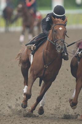 Woodbine Oaks, Kin's Concerto, Michael Burns, Woodbine