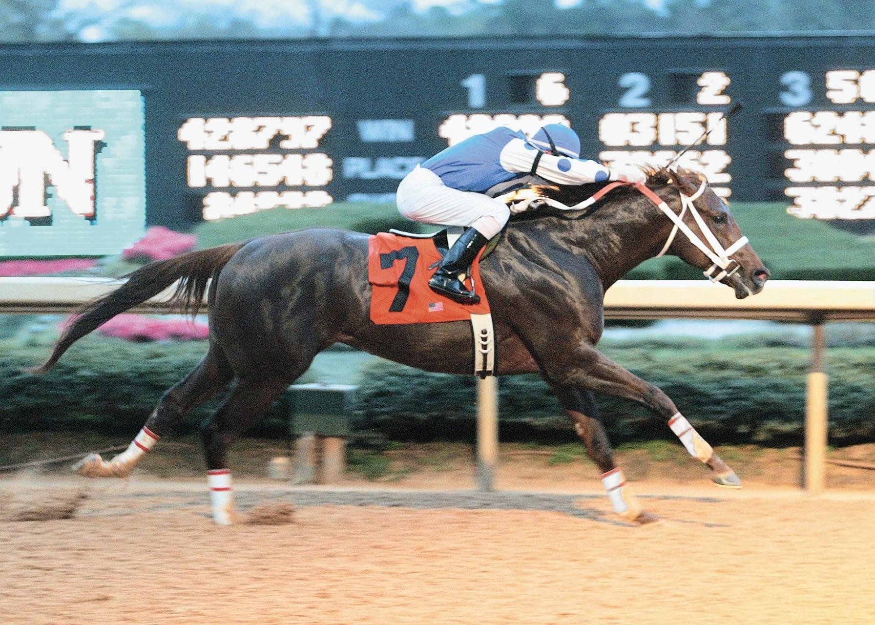 Smarty Jones, Rebel Stakes, Oaklawn Park, America's Best Racing, ABR, horse racing Smarty Jones, Rebel Stakes, Oaklawn Park, America's Best Racing, ABR, horse racing