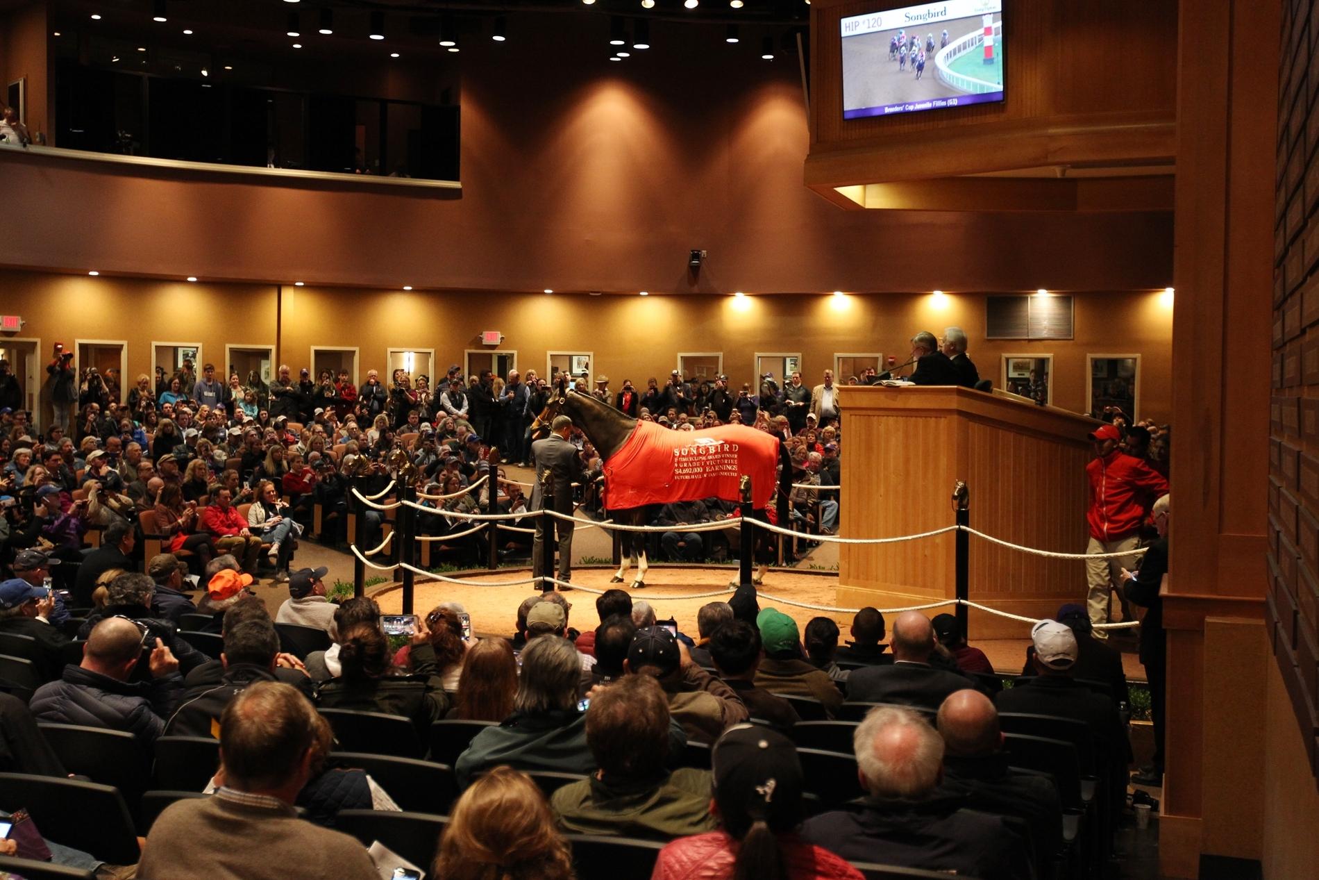 Fasig-Tipton November, Songbird, America's Best Racing, horse racing, ABR Fasig-Tipton November, Songbird, America's Best Racing, horse racing, ABR