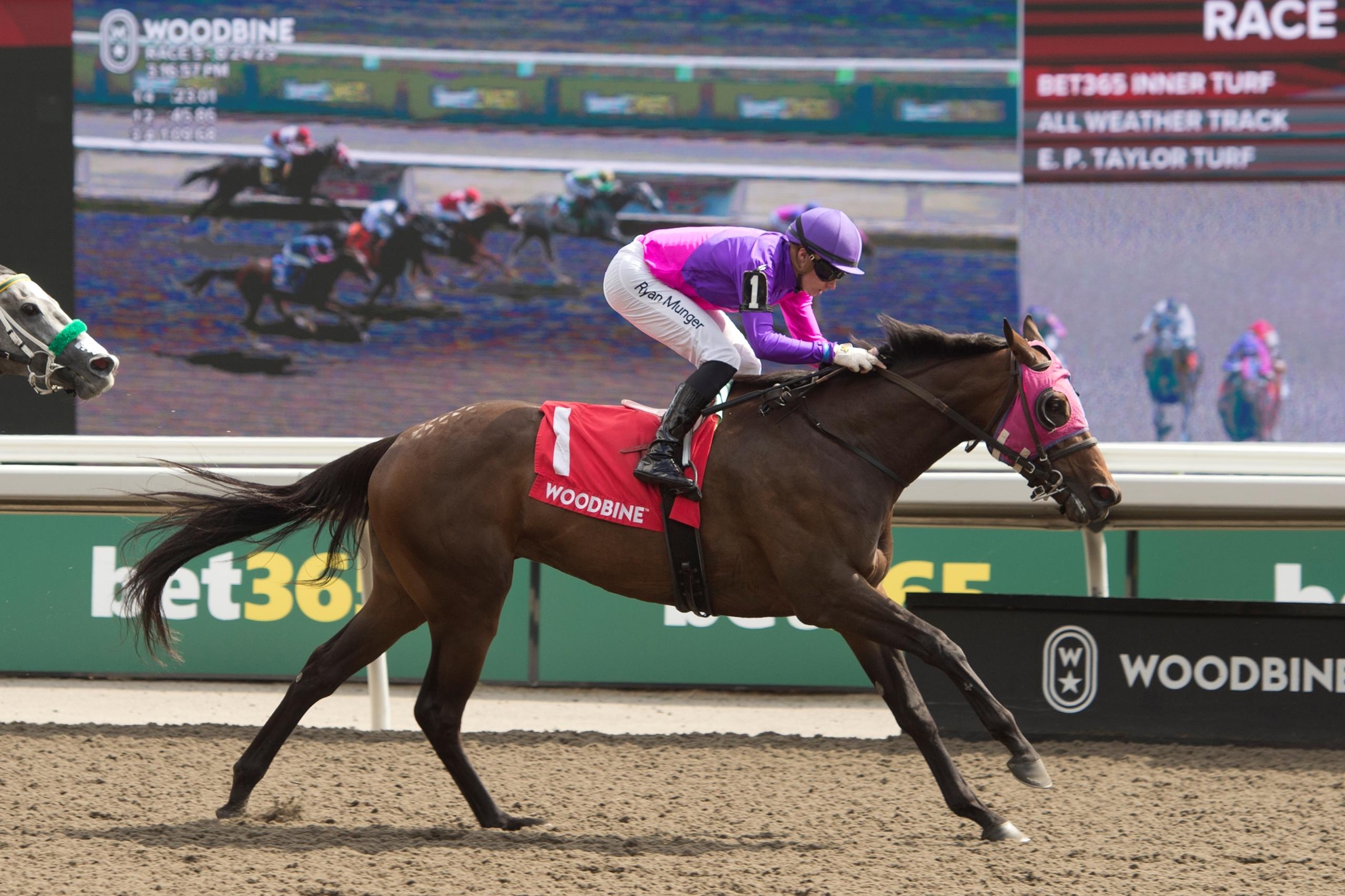 Speedy Freeze, Ontario Matron, Woodbine, horse racing, America's Best Racing, ABR