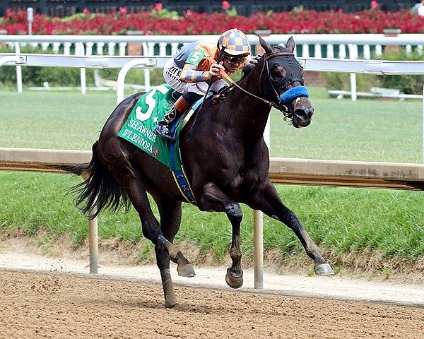 Splendora, Shawnee Stakes, Churchill Downs, horse racing, America's Best Racing, ABR