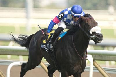 Stanley House, Woodbine, Woodbine Mile, America's Best Racing, horse racing, ABR