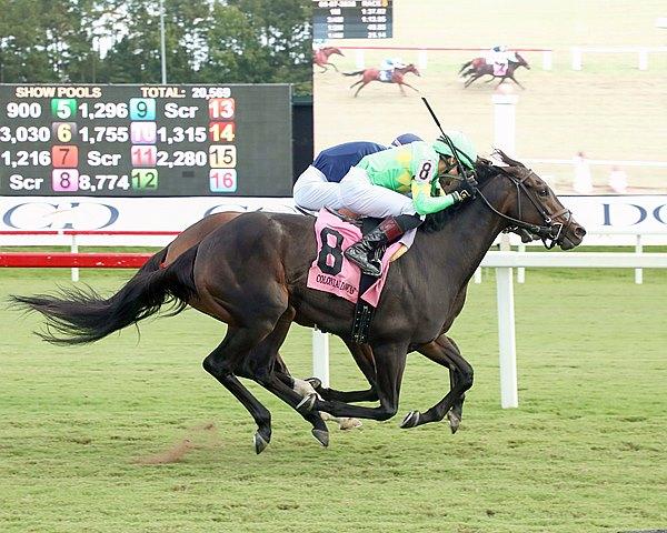 Storm's Wake, Old Dominion Oaks, Queen Elizabeth II Challenge Cup, Keeneland, horse racing, America's Best Racing, ABR Storm's Wake, Old Dominion Oaks, Queen Elizabeth II Challenge Cup, Keeneland, horse racing, America's Best Racing, ABR