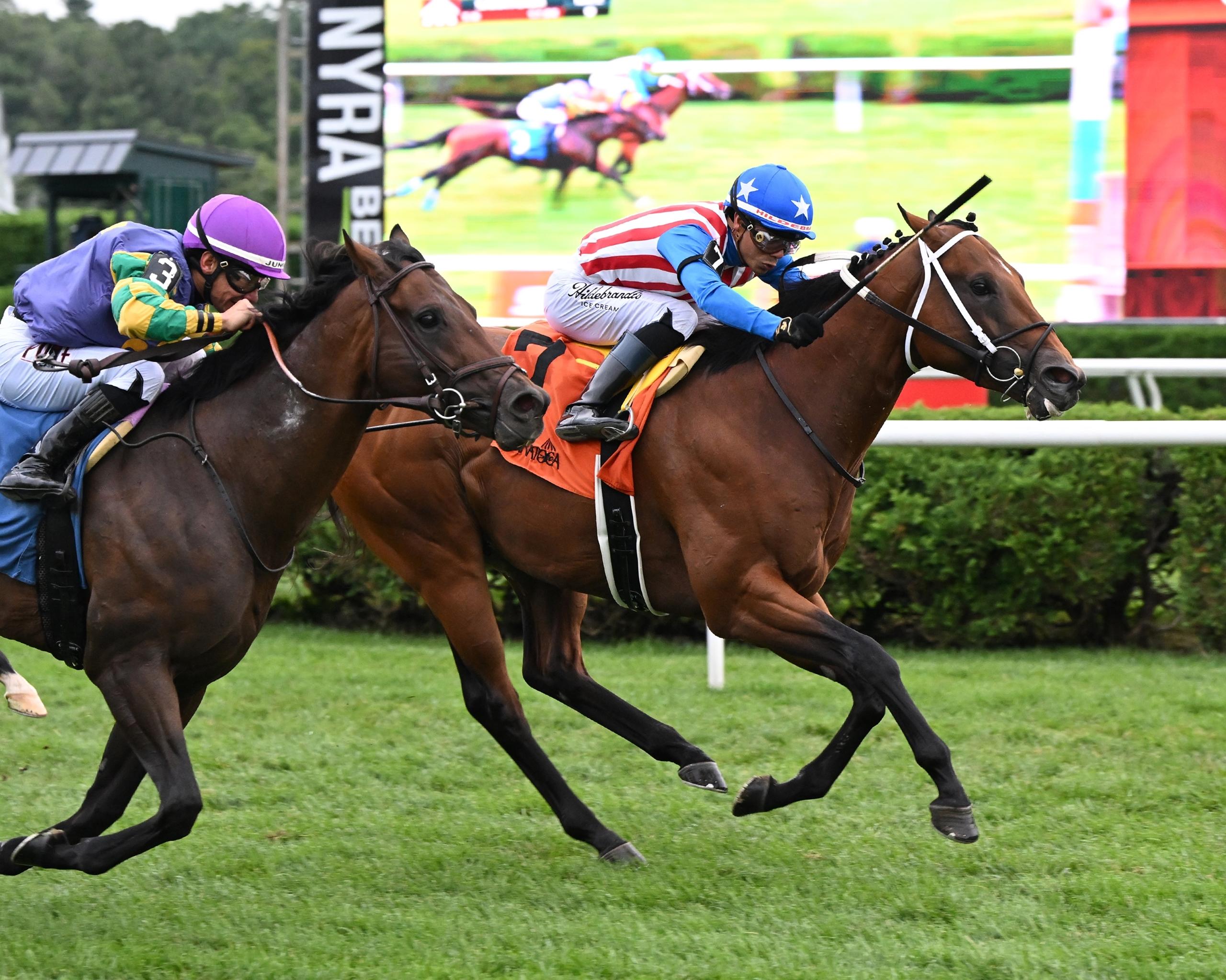 Stradale, Mahony Stakes, Gallant Bob, Parx Racing, horse racing, America's Best Racing, ABR