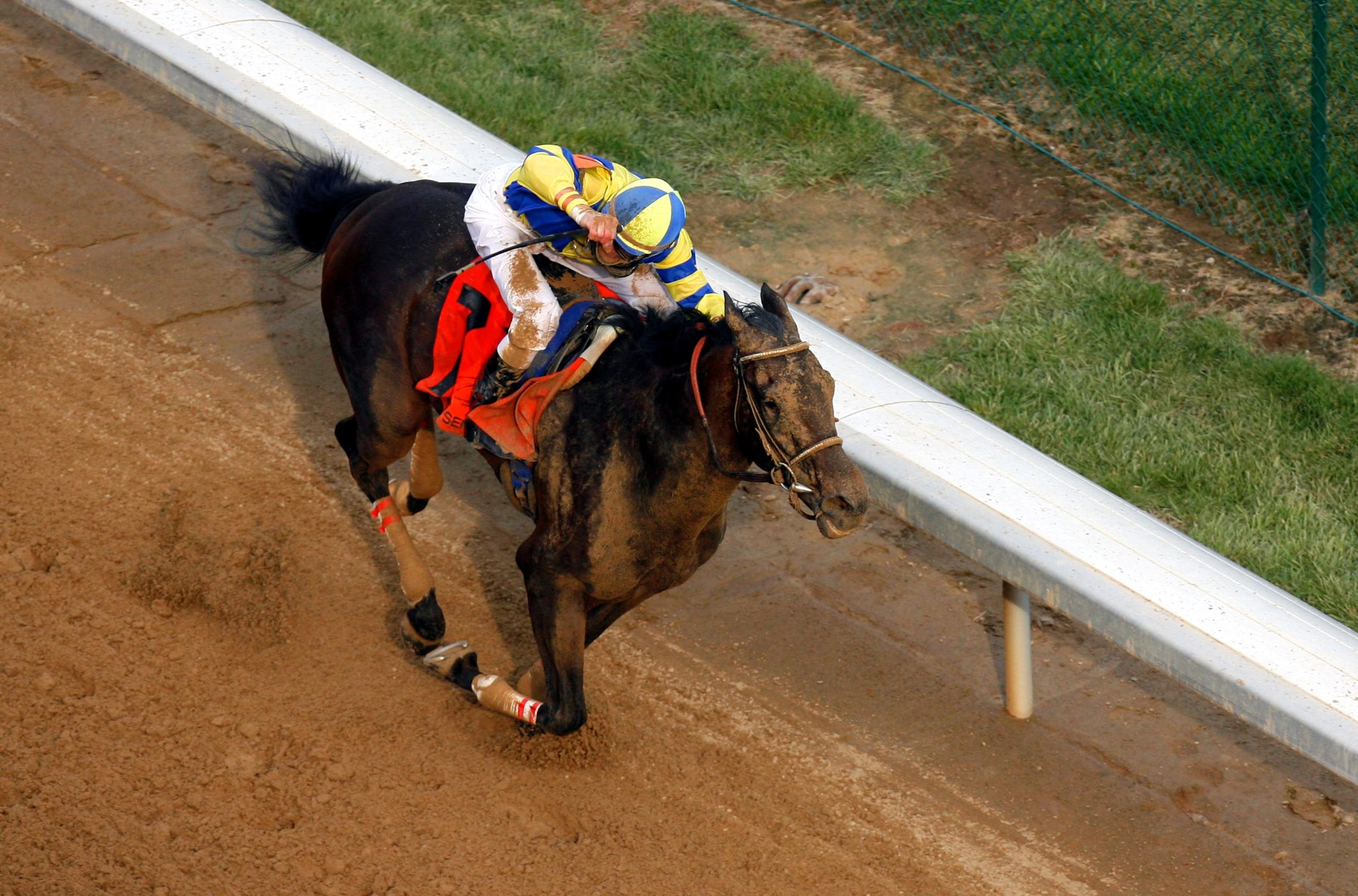 Street Sense, Breeders’ Cup Juvenile, Kentucky Derby, Jim Tafel, Carl Nafzger, horse racing, America's Best Racing, ABR