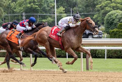 2024 Sanford Stakes at a Glance | America's Best Racing